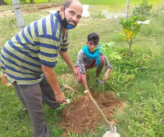 Tree Plantation prepared in School Campus