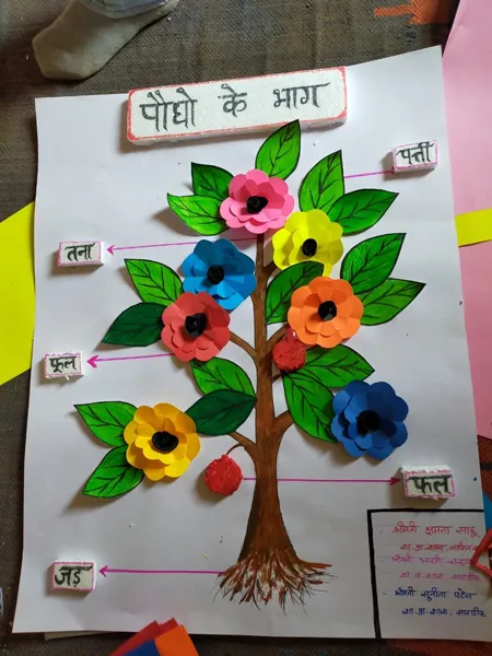 IE programme activities